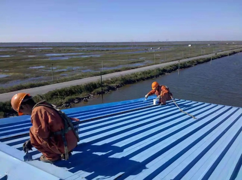 郯城彩钢瓦屋面防腐翻新